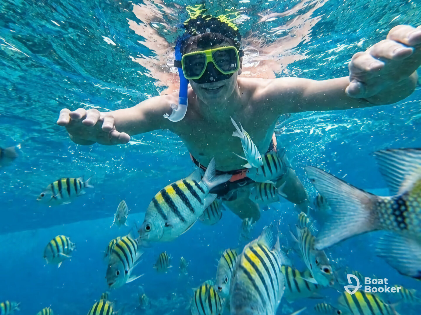 Fishing & snorkeling Wahoo, Ballyhoo