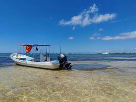 A motorboat is docked in shallow waters under a clear blue sky, showcasing a perfect day for boating adventures.