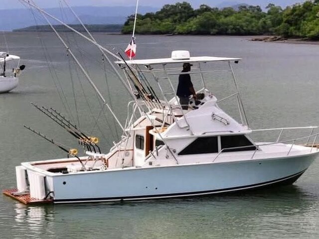Listing image 1217329