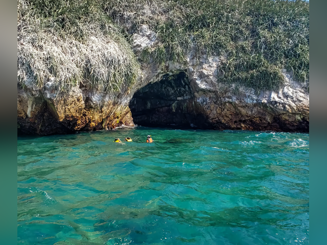 Listing image 1218095