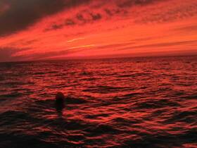 A stunning sunset paints the sky in vibrant red hues over the ocean, creating a picturesque backdrop for evening boat adventures.