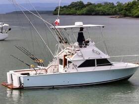 Charter Image