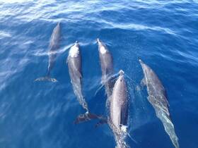 Charter Image