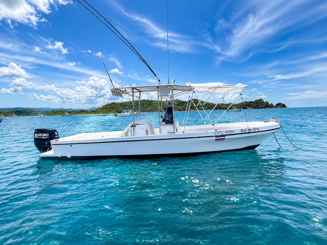 Listing image 1217490
