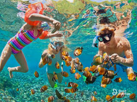 Children snorkeling and interacting with colorful fish in crystal-clear waters — a delightful underwater adventure perfect for family outings.