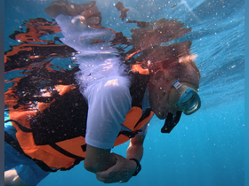 A snorkeler explores the vibrant underwater world, showcasing the thrill of marine adventures. Perfect for those seeking unforgettable aquatic experiences.