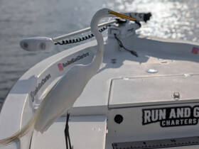 A majestic egret perches on the edge of a boat, showcasing the beauty of wildlife encounters while out on the water.
