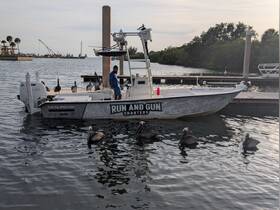 A captain stands on a charter boat surrounded by curious pelicans, showcasing a unique human-animal interaction in a scenic waterfront setting.