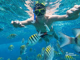 A young snorkeler interacts with vibrant fish underwater, showcasing the beauty of marine life in a tropical setting — a perfect adventure for ocean enthusiasts.