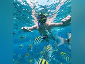 A snorkeler interacts with vibrant fish underwater, showcasing the beauty of marine life in crystal-clear waters — a perfect adventure for ocean enthusiasts.
