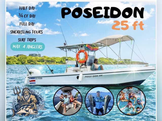 Listing image 1221384