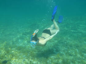 A snorkeler explores the vibrant underwater world, showcasing the thrill of marine adventures and the beauty of aquatic life.