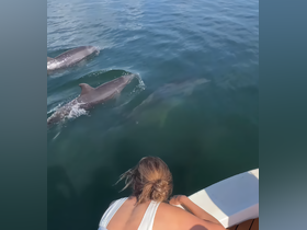A woman leans over the side of a boat to observe dolphins swimming nearby, capturing a magical moment of wildlife interaction in the open water.