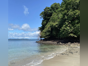 A serene beach scene with lush greenery and clear waters, perfect for relaxing or exploring coastal beauty.