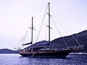 A stunning sailboat anchored near a lush hillside, showcasing its elegant design against a serene backdrop — perfect for scenic cruises or private charters.