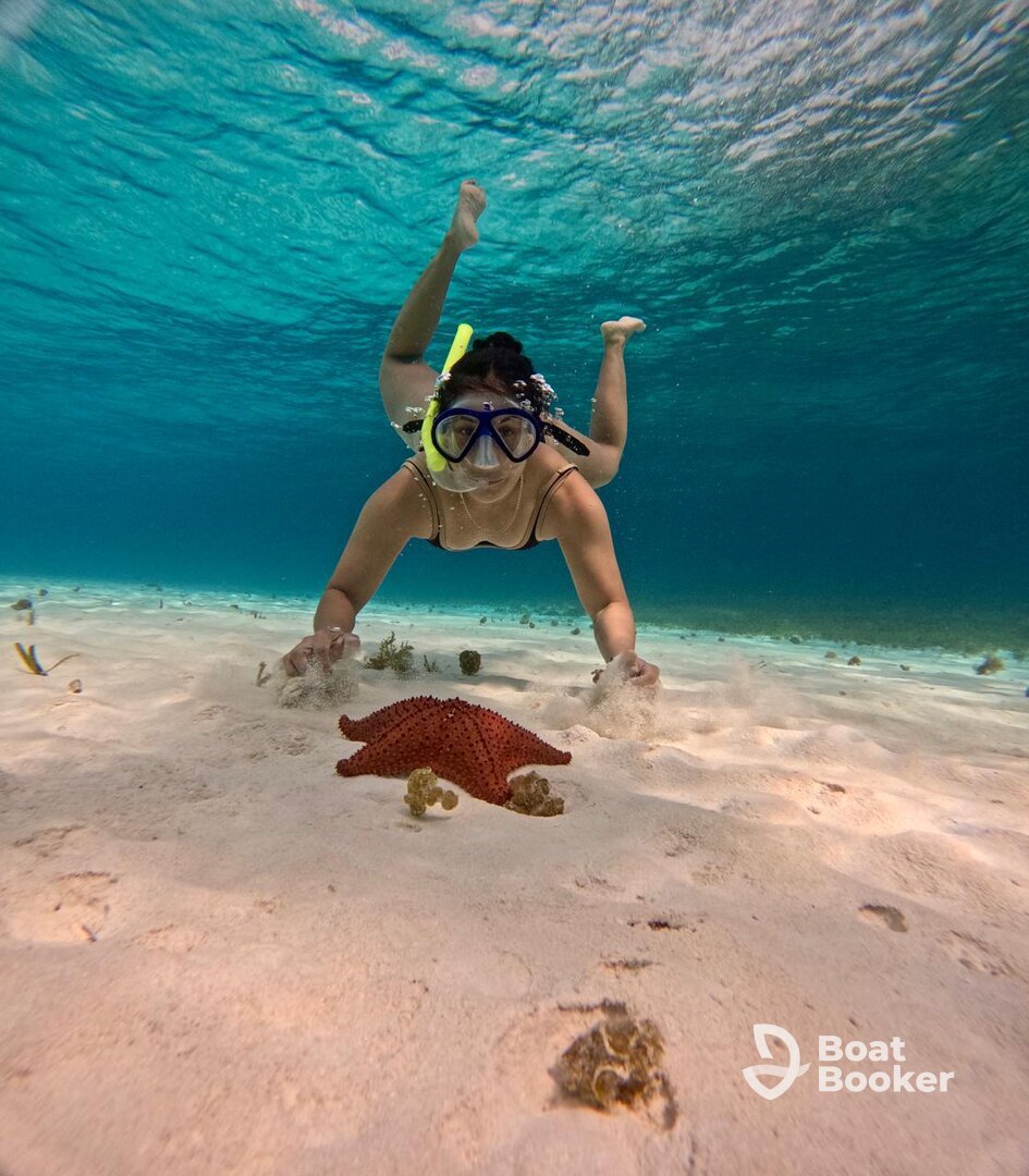 Go-Snorkel