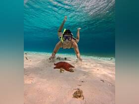 A snorkeler interacts with a vibrant starfish on the sandy ocean floor, showcasing the beauty of underwater wildlife and marine exploration.