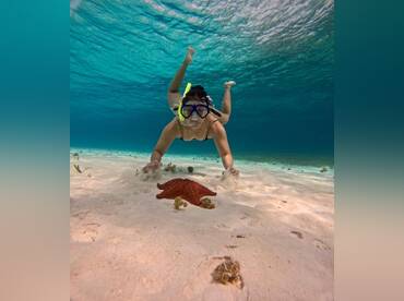 Go-Snorkel