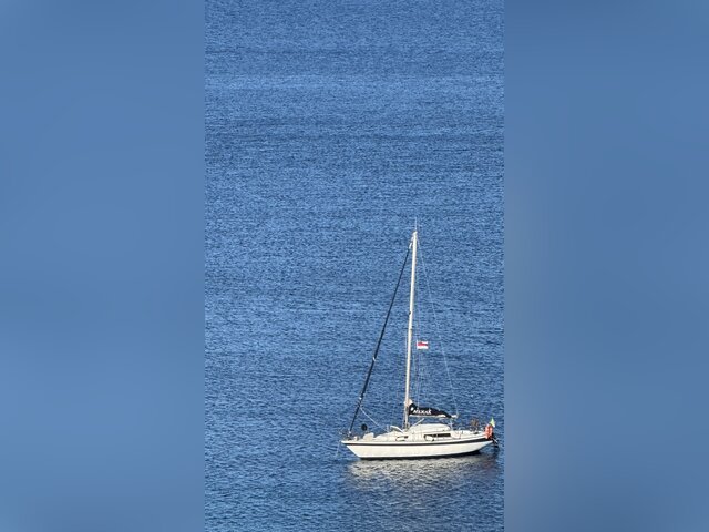 Listing image 1220977