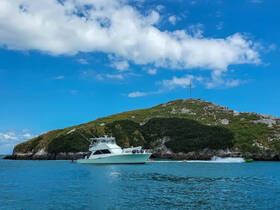 A stunning yacht navigates the clear waters near a lush island, showcasing the perfect setting for a day of adventure on the water.