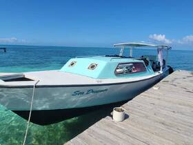 A beautiful view of the 'Sea Dreamer' boat docked at a serene location, surrounded by clear turquoise waters — perfect for a day of adventure on the sea.