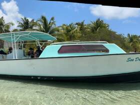 A group of people enjoys a sunny day aboard the 'Sea Dream' boat, surrounded by tropical scenery — perfect for a fun day on the water.