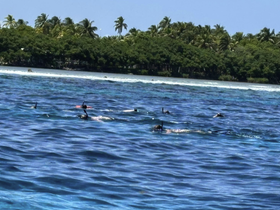 A group of snorkelers explores the vibrant underwater world, enjoying a refreshing swim in crystal-clear waters surrounded by lush tropical scenery.