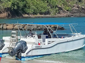 A sleek boat named 'GOODWILL II' is docked near a rocky shoreline, showcasing its design and surroundings in a picturesque coastal setting.
