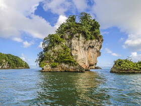 A stunning view of a lush island surrounded by tranquil waters, showcasing the natural beauty of the coastline — perfect for eco tours and scenic boat trips.