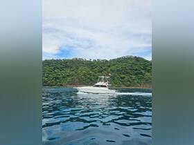 A sleek speedboat navigates through tranquil waters, showcasing the beauty of the surrounding lush greenery — perfect for adventure seekers exploring coastal regions.