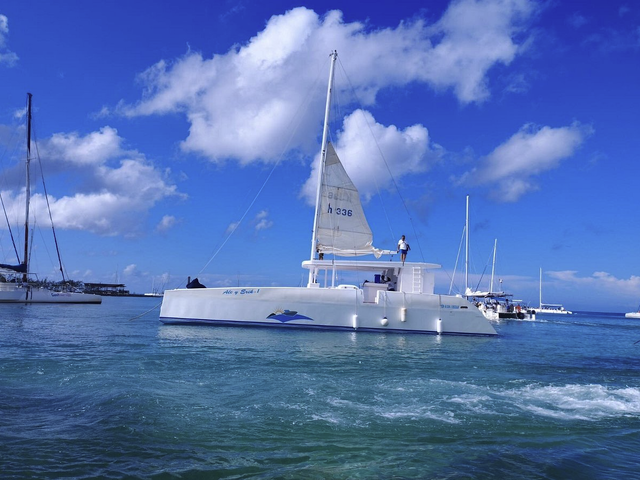 Listing image 1222788