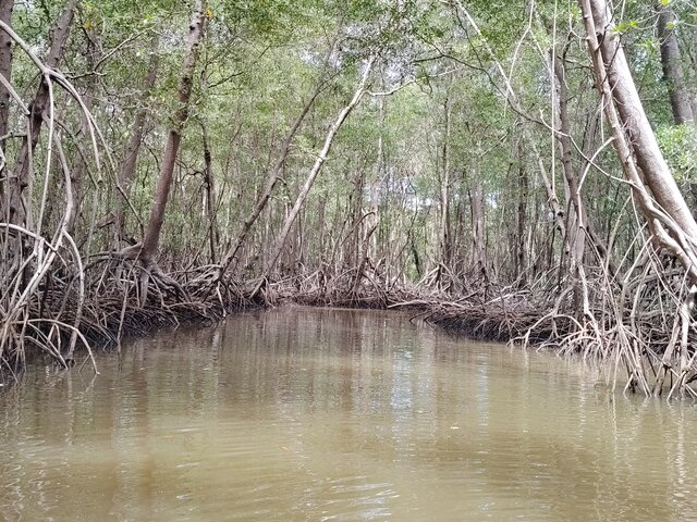 Listing image 1223704