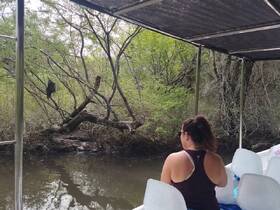 A guest enjoys the serene natural surroundings while exploring a river on a boat, perfect for nature lovers and adventure seekers.