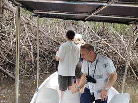 A group of guests explores a mangrove area from their boat, enjoying the natural surroundings and wildlife. Perfect for eco-tours and nature enthusiasts.