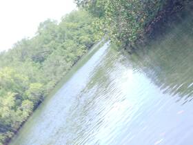 An unclear image of a waterway surrounded by greenery, lacking identifiable features or subjects.