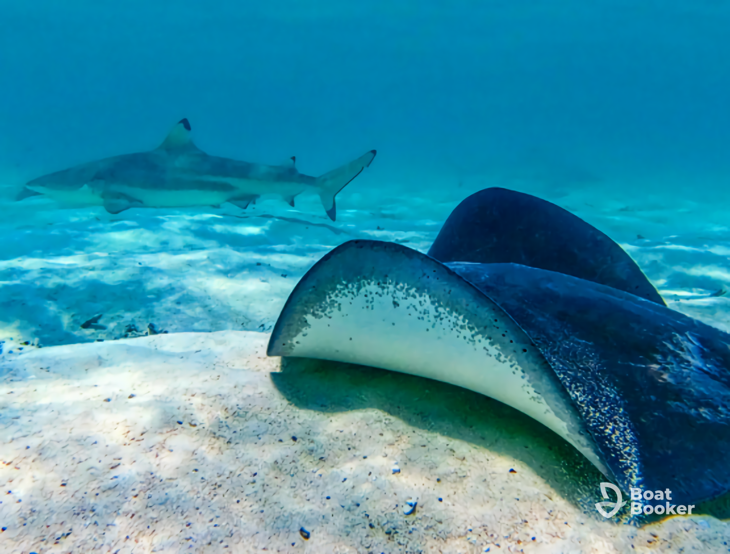 O-Sea Bora Bora