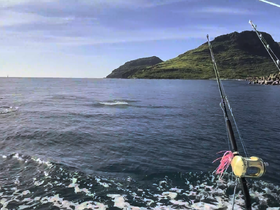 A serene view of fishing rods on a boat, with a stunning coastline in the background — perfect for fishing enthusiasts seeking adventure on the open water.