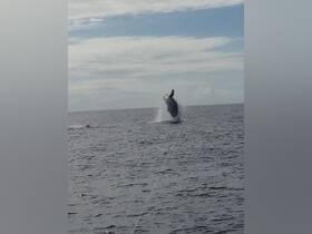 Charter Image