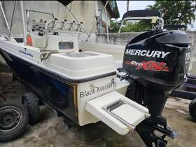A detailed view of the back of a 'Black Marlin' boat featuring a powerful Mercury ProXS outboard motor, ideal for fishing and recreational outings.