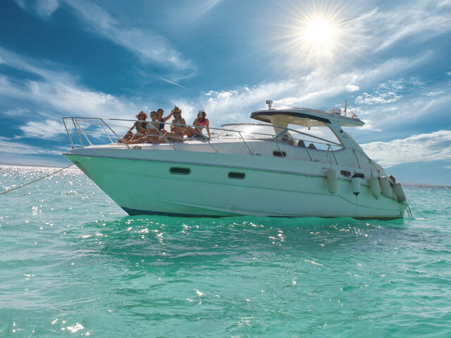 Listing image 1222834