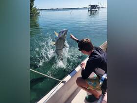 A young angler interacts with a jumping tarpon in clear waters, showcasing an exciting fishing experience. Perfect for adventure seekers and wildlife enthusiasts.