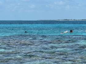 A group enjoys snorkeling in the crystal-clear waters, showcasing the vibrant marine life and stunning underwater scenery.