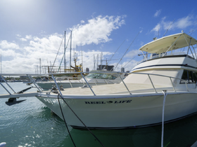 A sleek yacht named 'Reel Life' docked at the marina, showcasing its elegant design against a backdrop of clear blue skies.