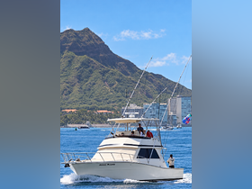 A fishing yacht named 'Reel Life' cruises through vibrant waters with a stunning mountain backdrop, showcasing a lively day on the ocean.