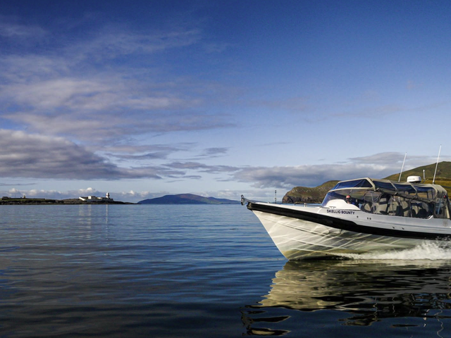 Listing image 1224359