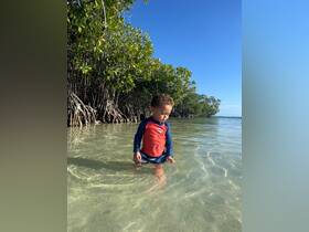 A young child explores the shallow waters among mangroves, creating a perfect moment of nature interaction — a delightful experience for families in tropical settings.
