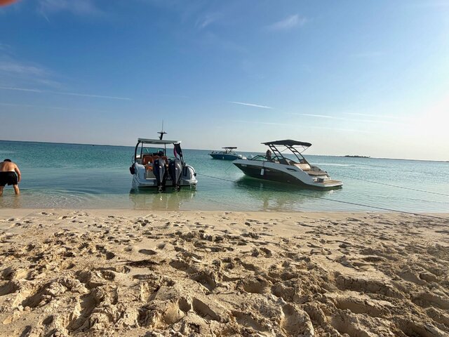 Listing image 1224446