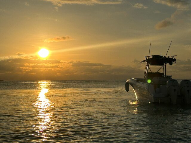 Listing image 1224470