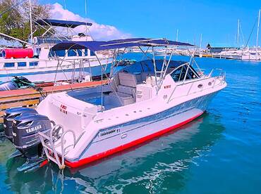 PARTY BOAT DAY & SUNSET TOURS DRINKS & SWIM!