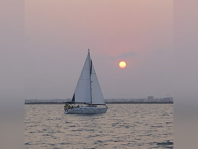 Listing image 1226146